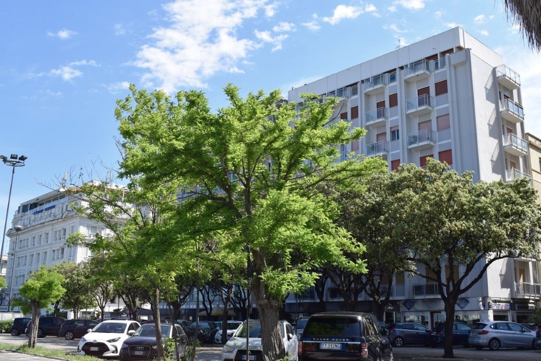 Appartement à Centre Nord, Pescara, Italie 1 - 15712603