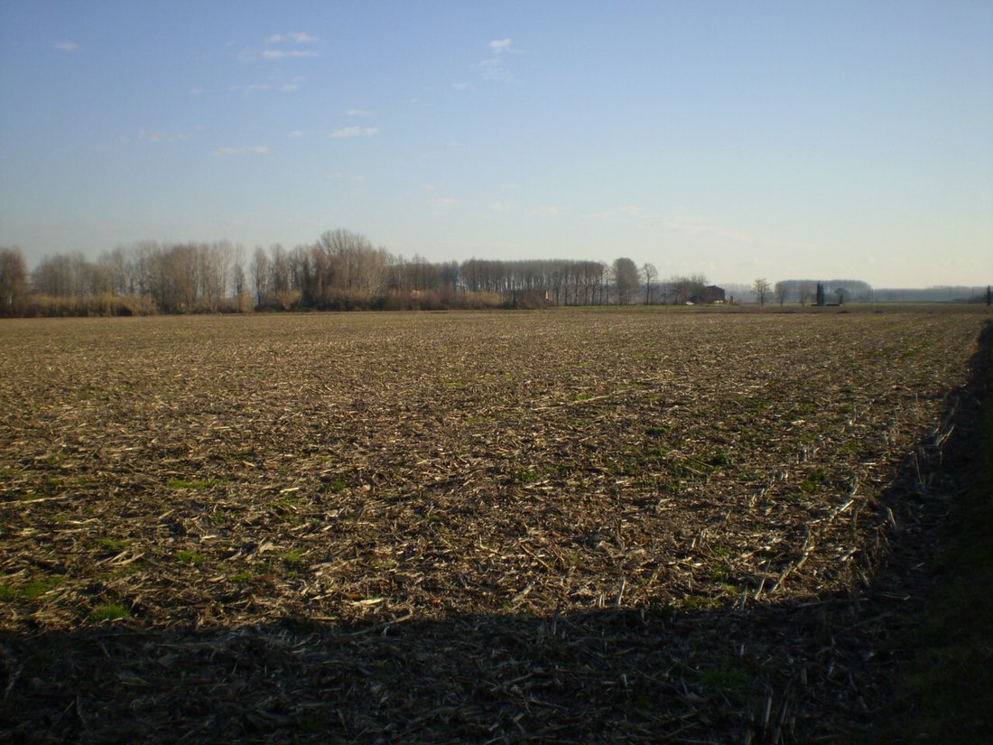 Land in Camposampiero, Veneto, Italy 1 - 12342930