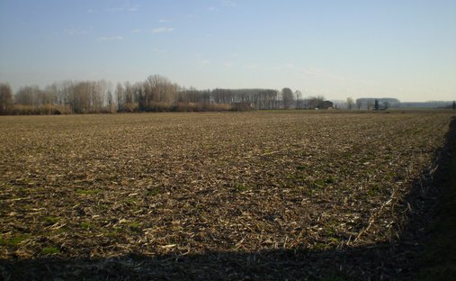 Land in Camposampiero, Veneto, Italy 1