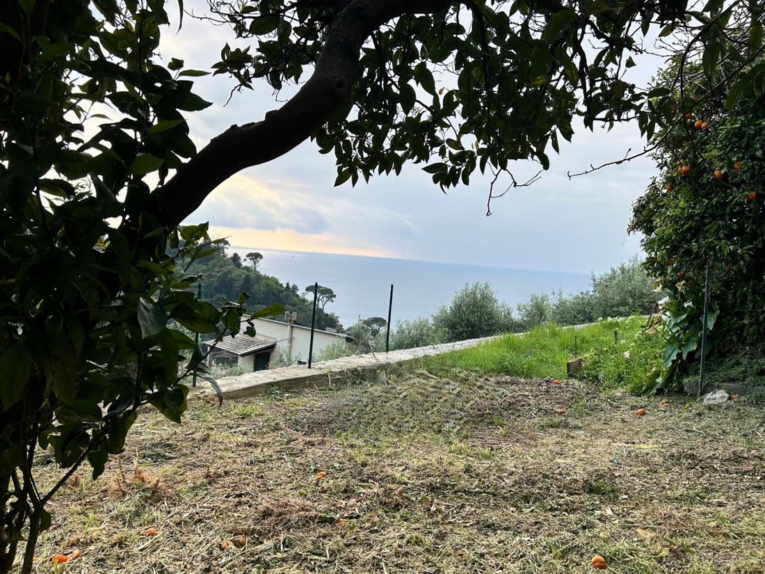 Apartment in Camogli, Liguria, Italy 5 - 15785426