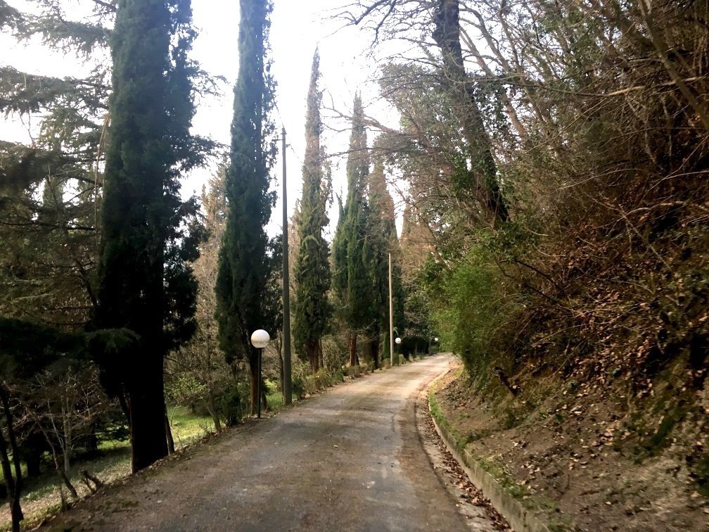 Villa in Monte - Ponte Abbadesse Zone, Cesena, Emilia-Romagna 1 - 14084993