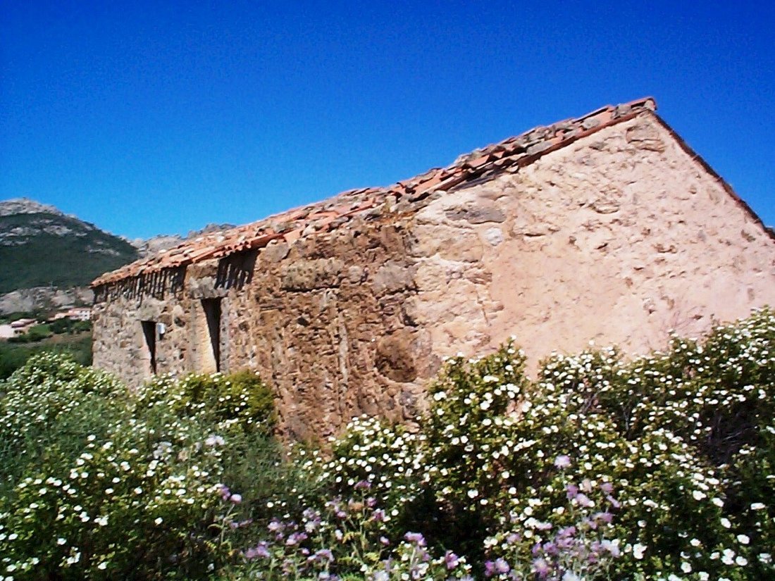 Maison à San Pantaleo, Olbia, Italie 1 - 13656426