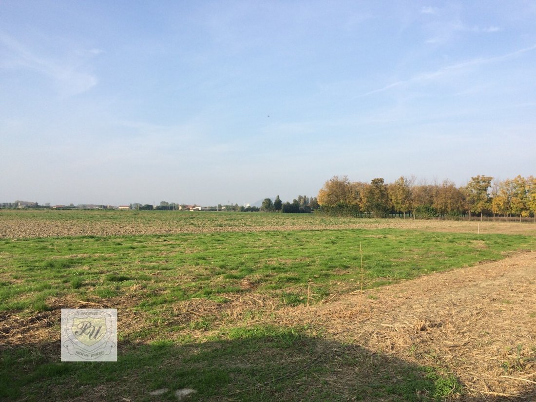 Land in Ospedaletto Euganeo, Veneto, Italy 5 - 12513673