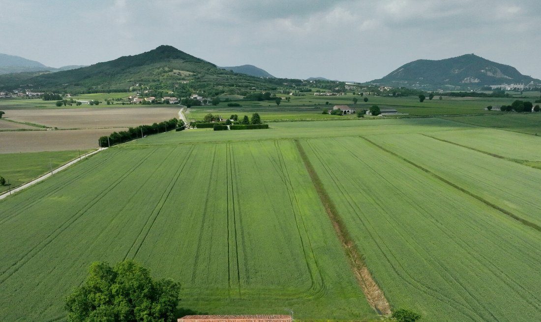 Land in Calaone, Veneto, Italy 2 - 15668551