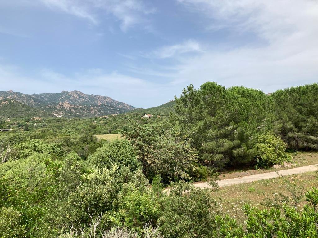Villa in Monticanaglia, Sardinia, Italy 1 - 13656492