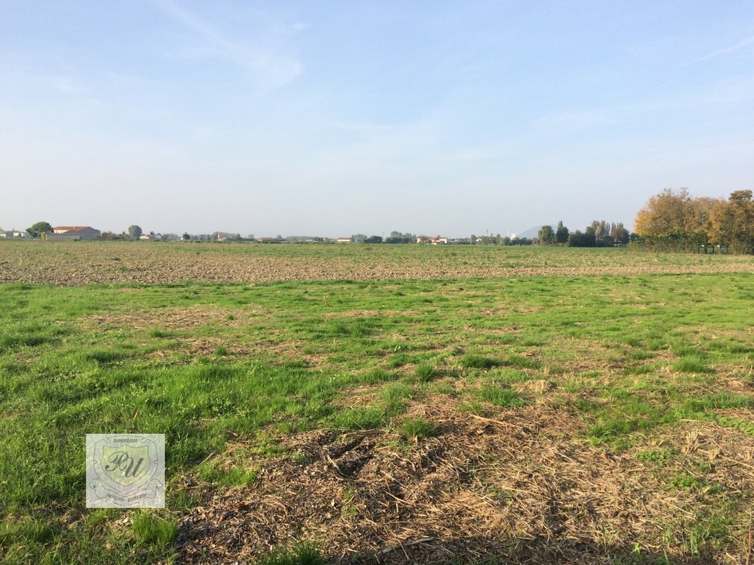 Land in Ospedaletto Euganeo, Veneto, Italy 3 - 12513673