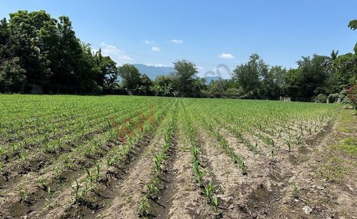Land in Yautepec de Zaragoza, Morelos, Mexico 1