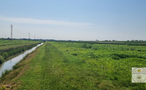 Land in Loreo, Veneto, Italy 1