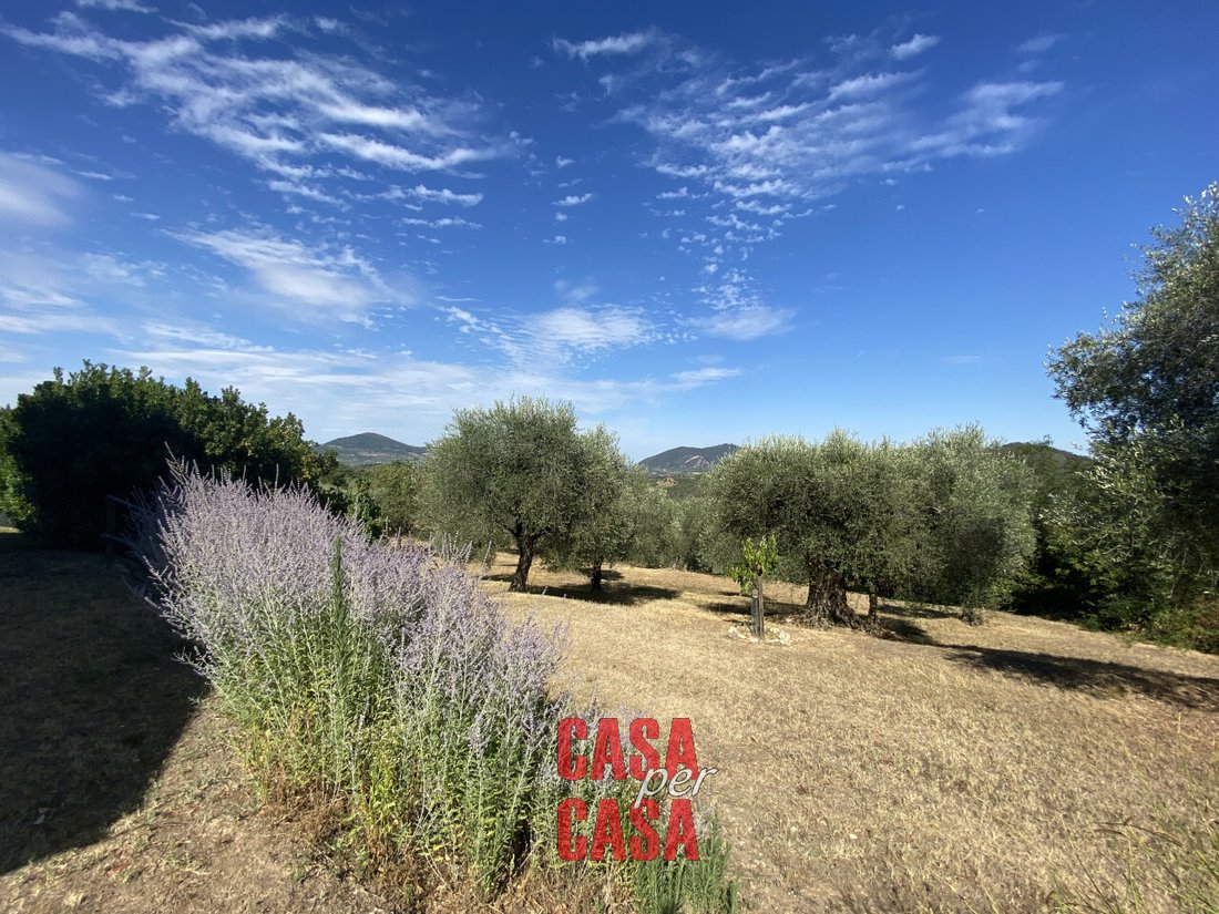 House in Calaone, Veneto, Italy 2 - 12118543