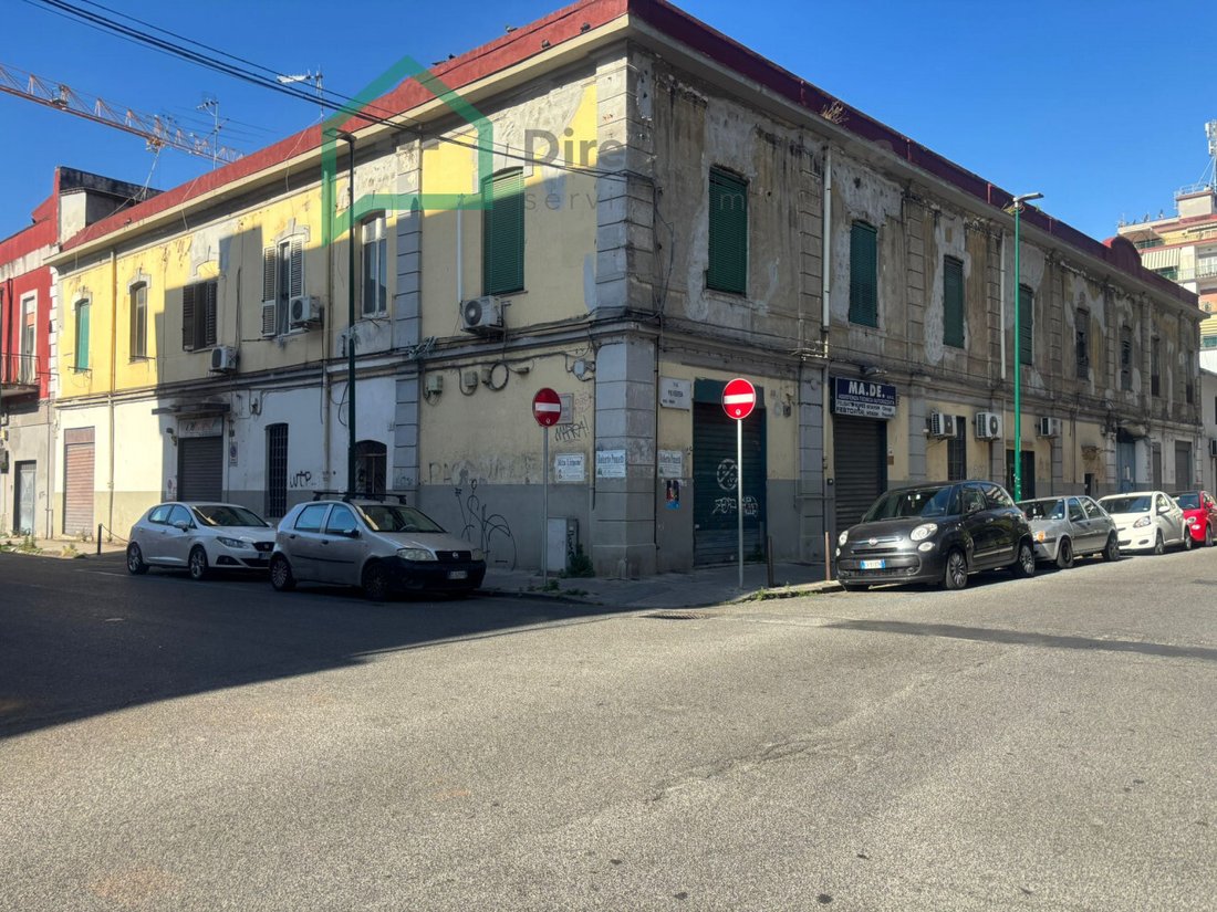 The Merchant’s Crown: A Naples Legacy of Stone & Fortune