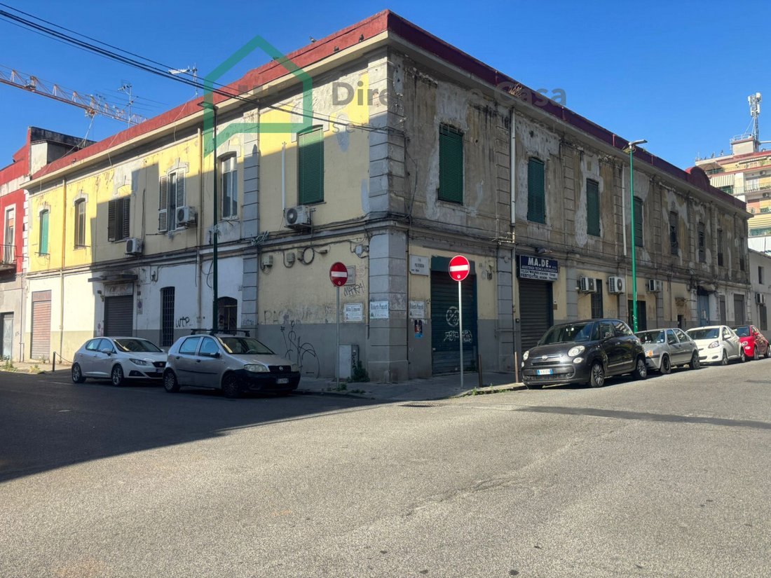 The Merchant’s Crown: A Naples Legacy of Stone & Fortune