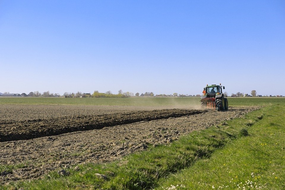 Land in Ponte San Nicolo, Veneto, Italy 4 - 14950414
