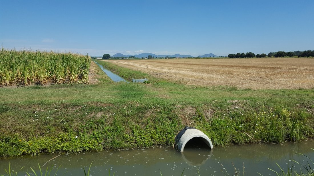 Land in Vescovana, Veneto, Italy 5 - 12809092