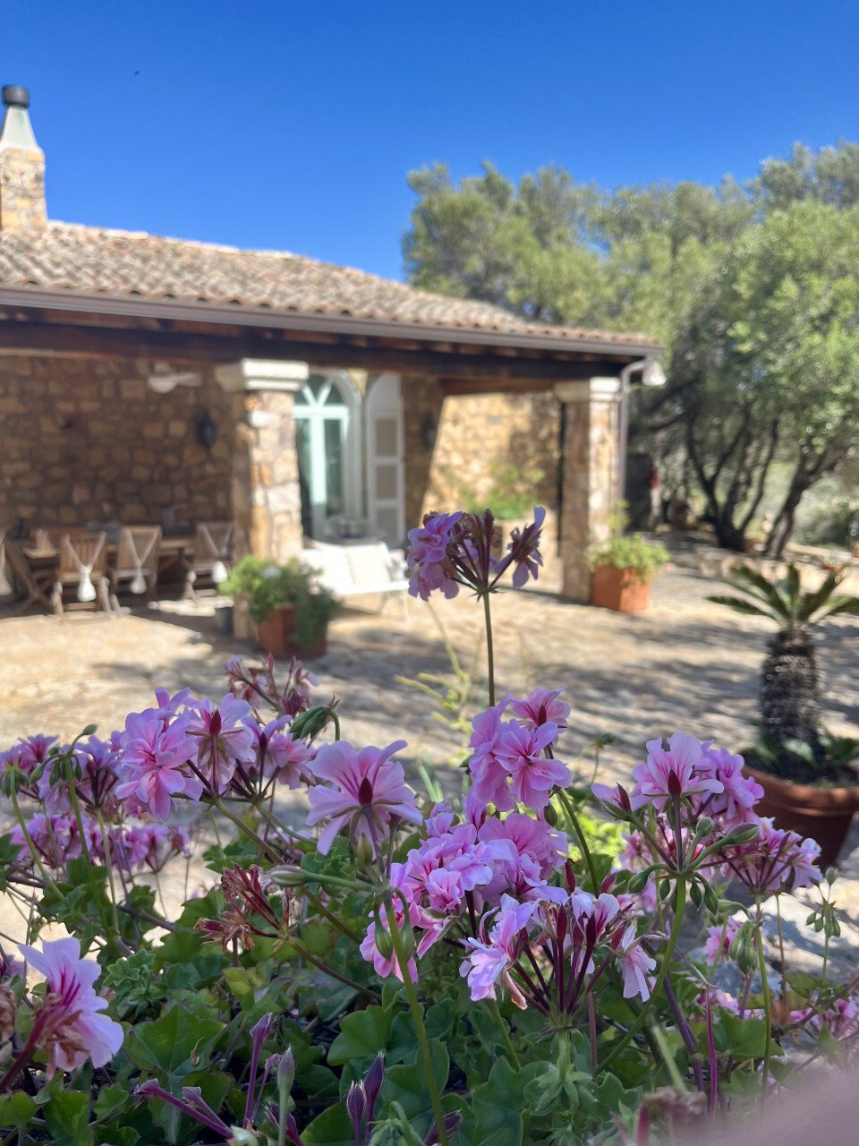 Villa in San Pantaleo, Olbia, Italy 2 - 14244072