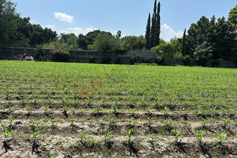 Terrain à Yautepec de Zaragoza, Morelos, Mexique 3 - 16022188