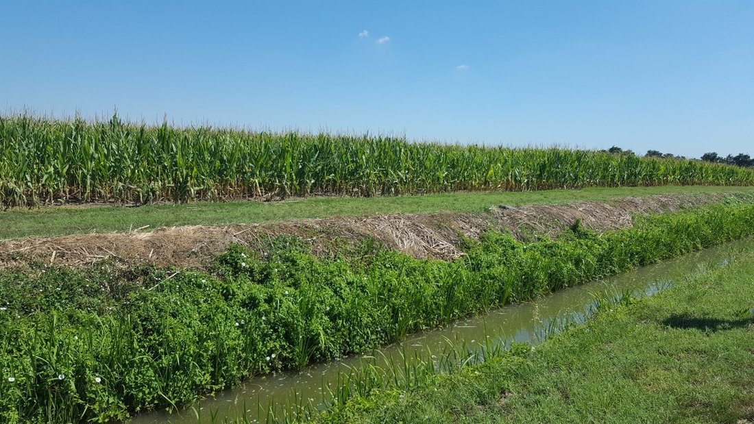 Land in Vescovana, Veneto, Italy 4 - 12809092