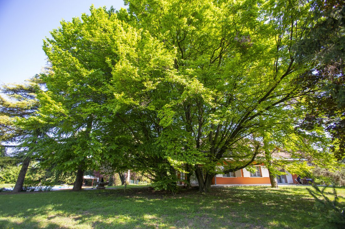 Villa in Laghetto - Maddalene, Vicenza, Veneto 4 - 15028817