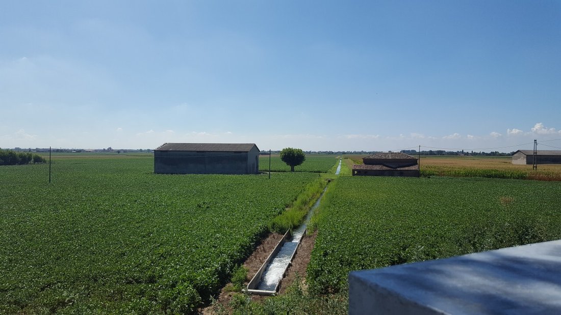Land in Vescovana, Veneto, Italy 3 - 12809092