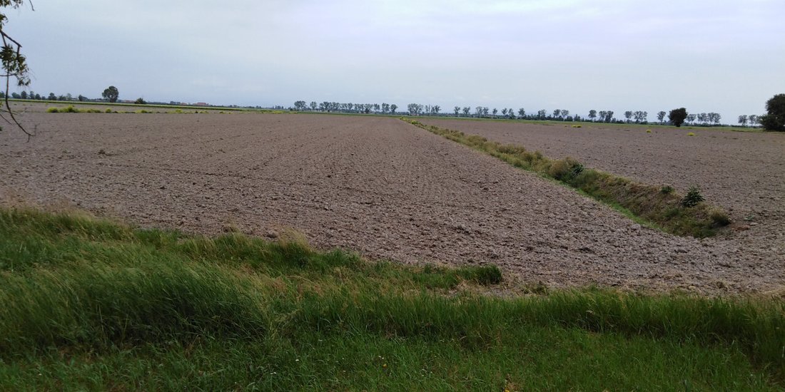 Land in Borgo Veneto, Veneto, Italy 2 - 12118586