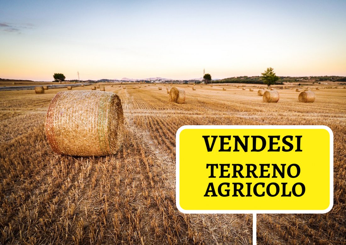 Land in Ponte San Nicolo, Veneto, Italy 1 - 14950414