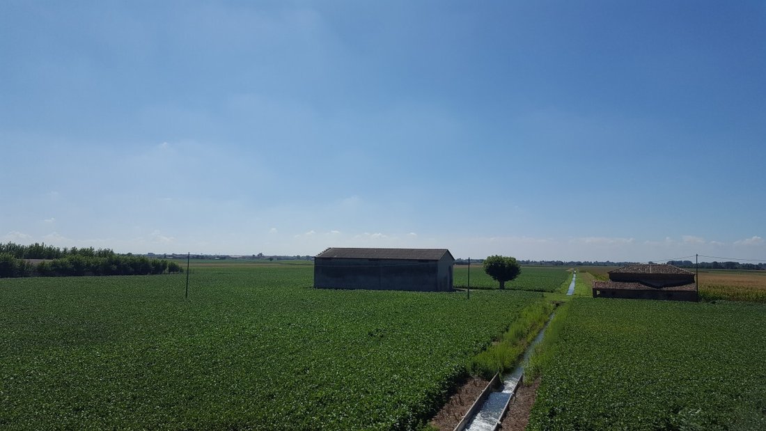 Land in Vescovana, Veneto, Italy 2 - 12809092
