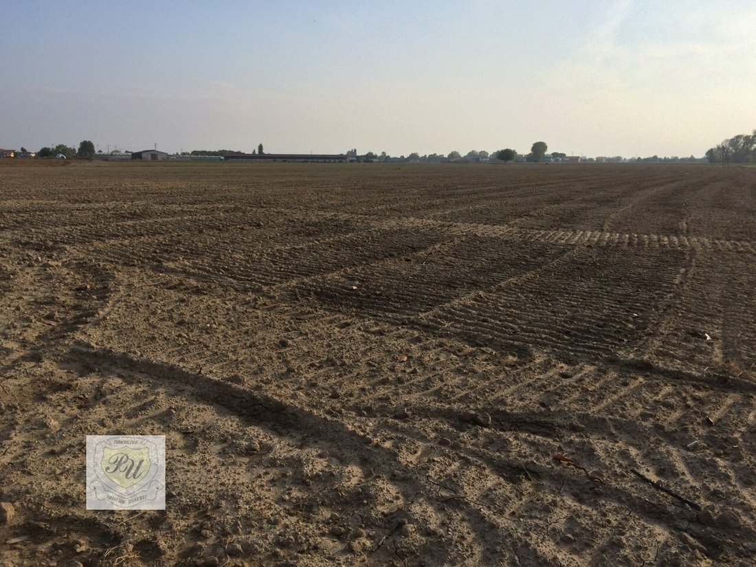 Land in Este, Veneto, Italy 3 - 12513664