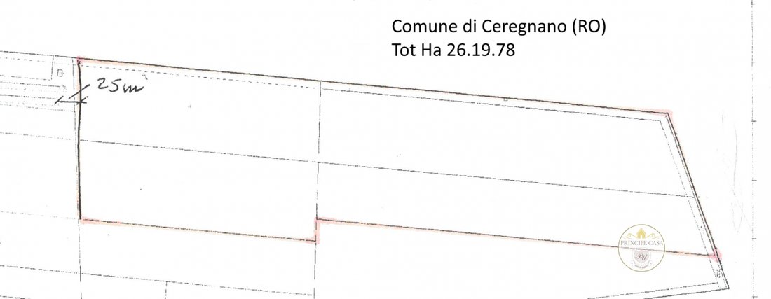 Land in Ceregnano, Veneto, Italy 5 - 15700869