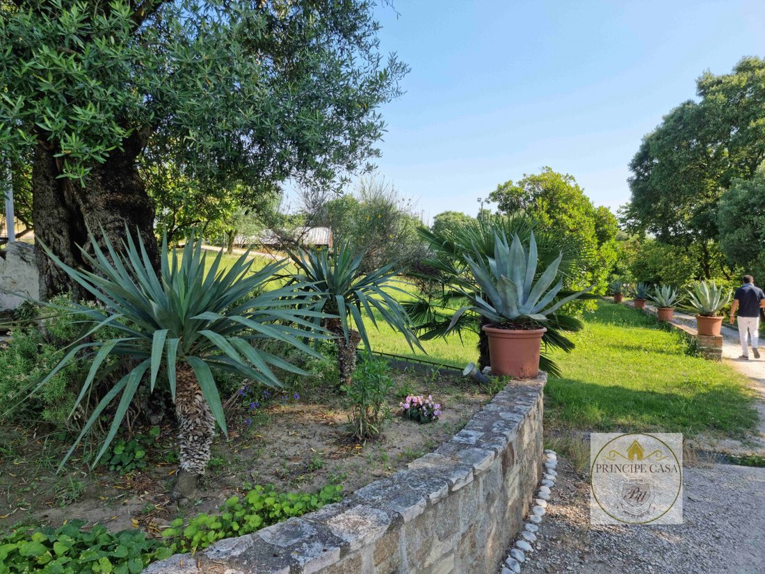 Land in Calaone, Veneto, Italy 4 - 12119156