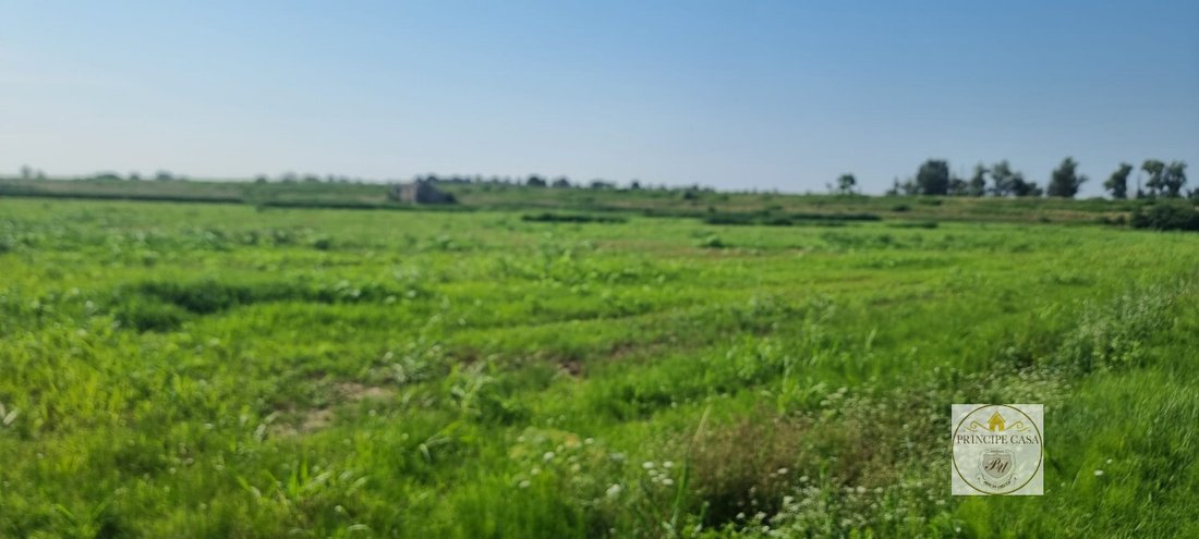 Land in Loreo, Veneto, Italy 3 - 13256360
