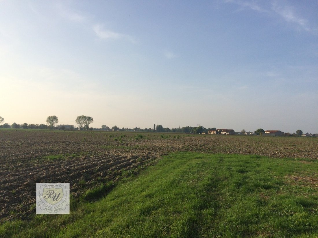 Land in Ospedaletto Euganeo, Veneto, Italy 4 - 12513673
