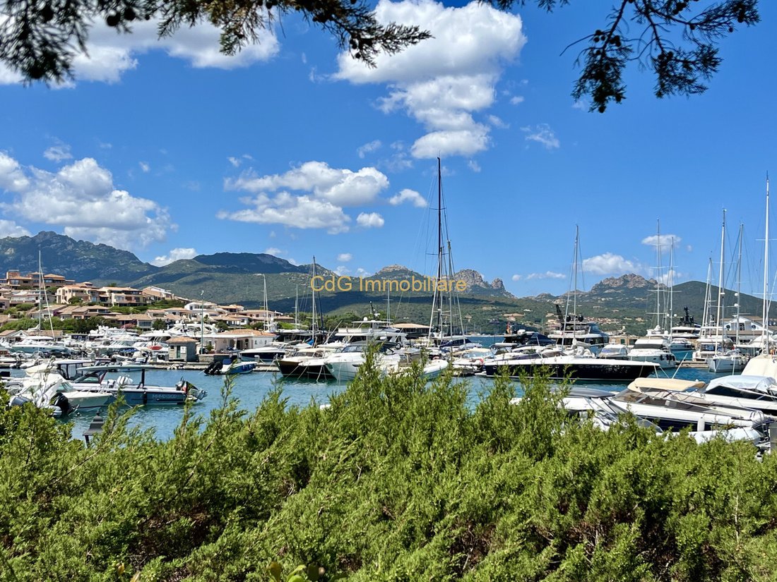 Apartment in Porto Rotondo, Olbia, Sardinia 1 - 14386386