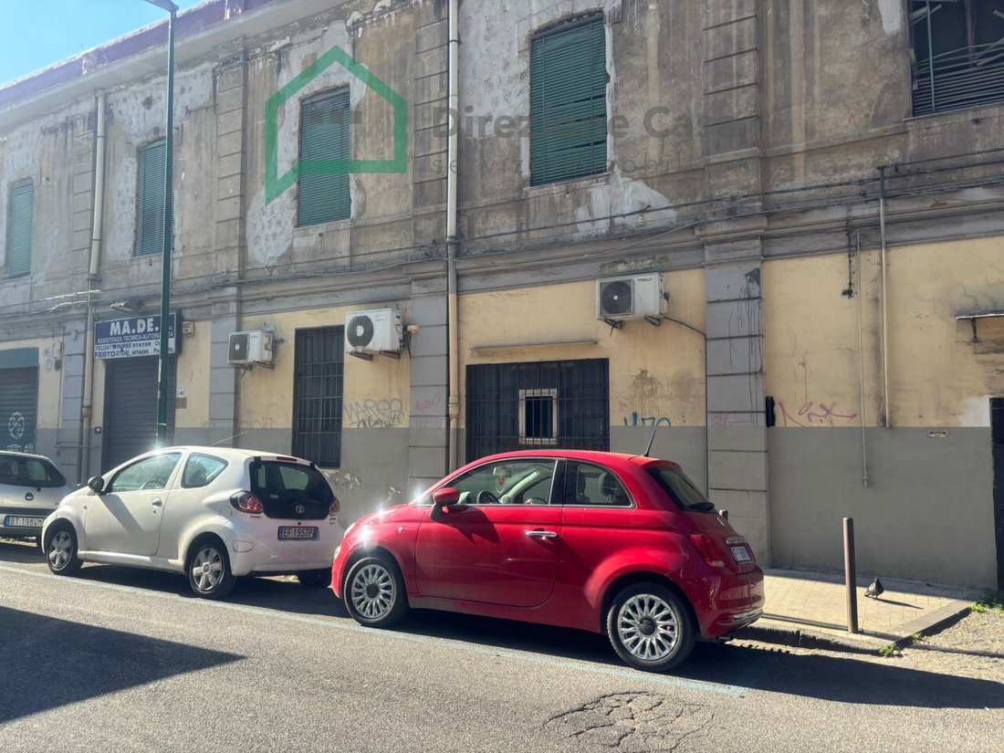 The Merchant’s Crown: A Naples Legacy of Stone & Fortune