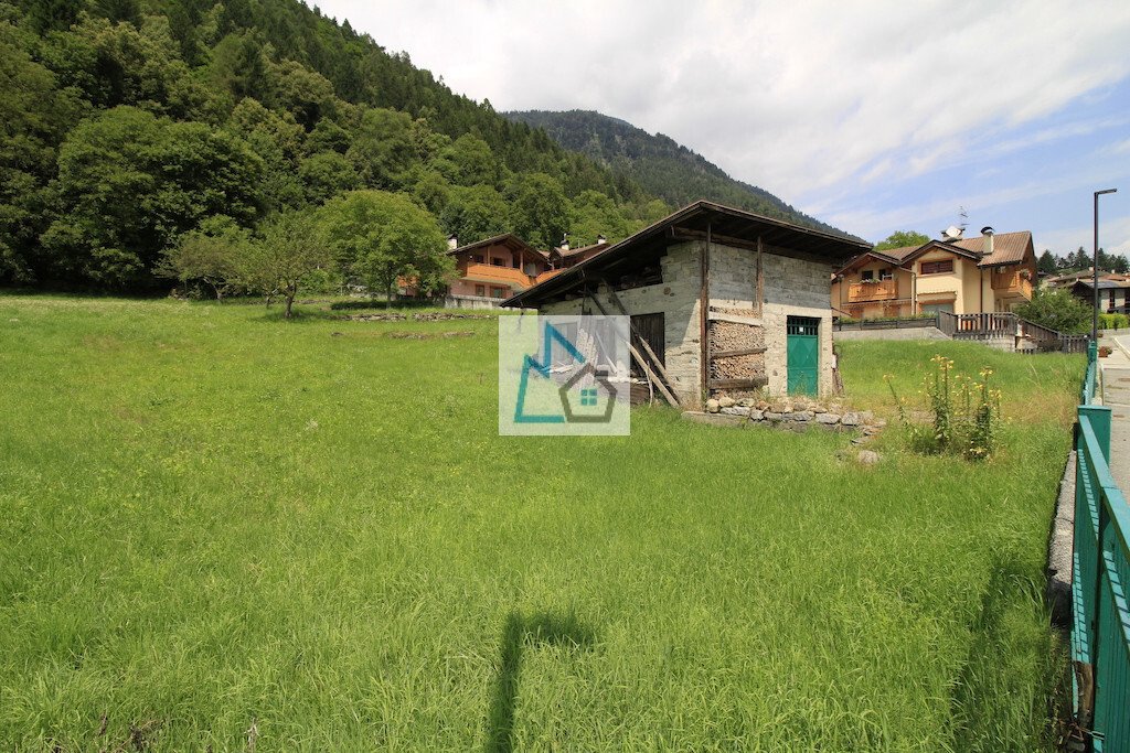 Land in Pelugo, Trentino – Alto Adige/Südtirol, Italy 2 - 14590439