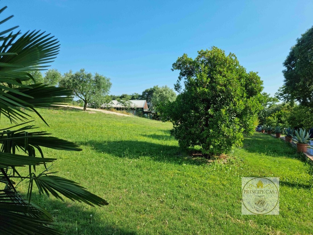 Land in Calaone, Veneto, Italy 5 - 12119156