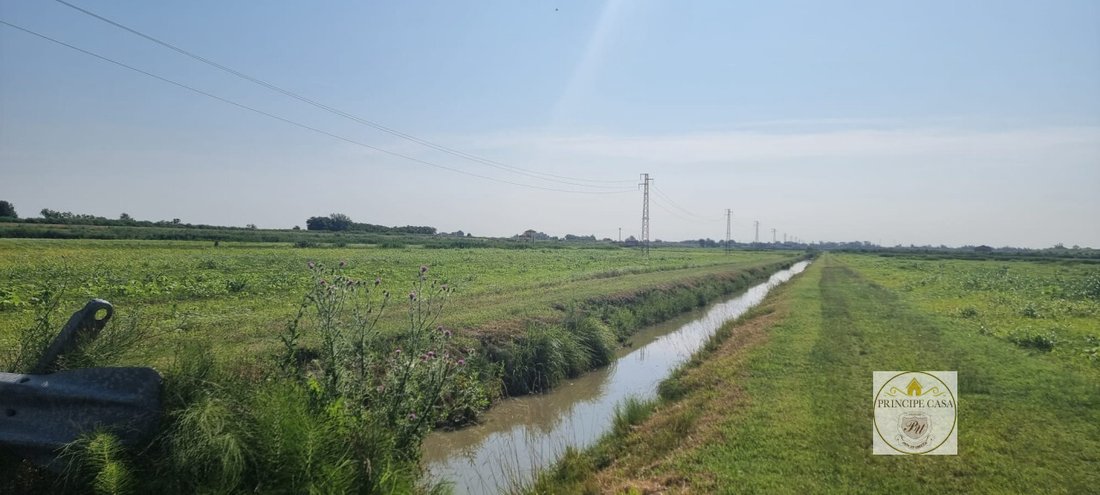 Land in Loreo, Veneto, Italy 2 - 13256360