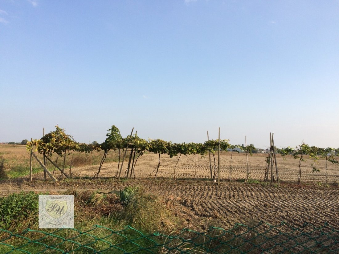Land in Este, Veneto, Italy 2 - 12513664