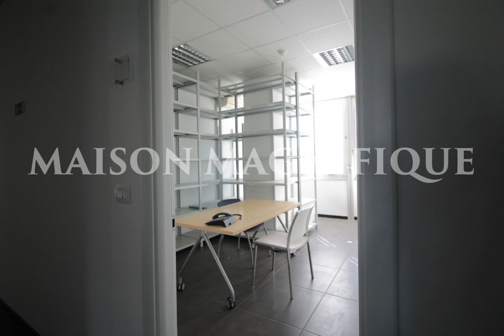 The Tower & the Grove: Bologna’s Hidden Industrial Crown - 5