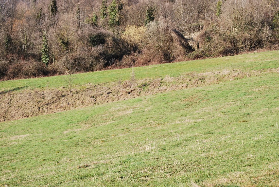 Land in Sossano, Veneto, Italy 2 - 13004471