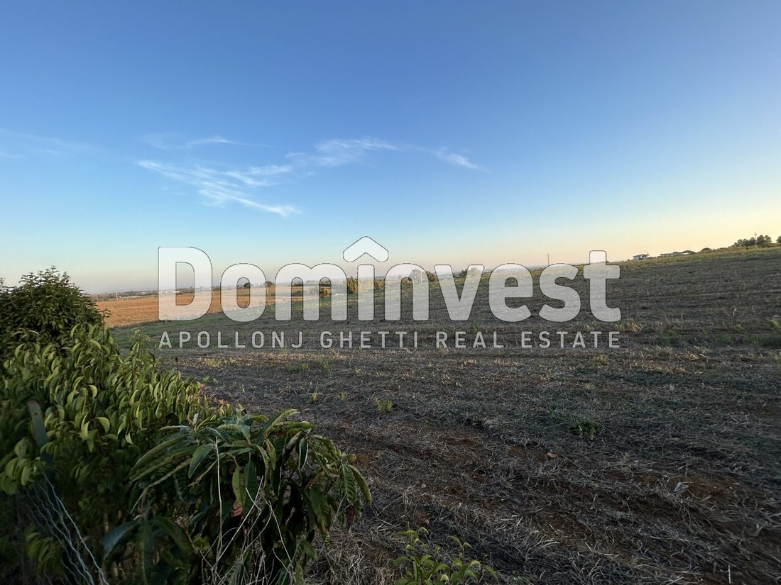 Land in Capalbio, Tuscany, Italy 5 - 13338282