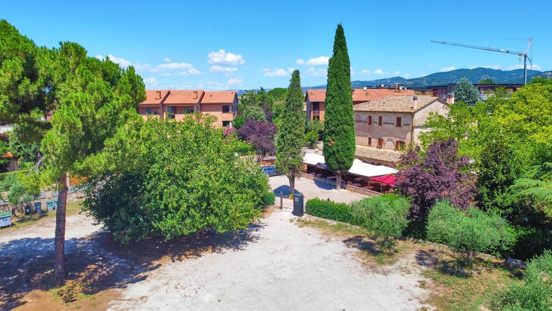 Assisi, Umbria, Italy 5 - 16023389