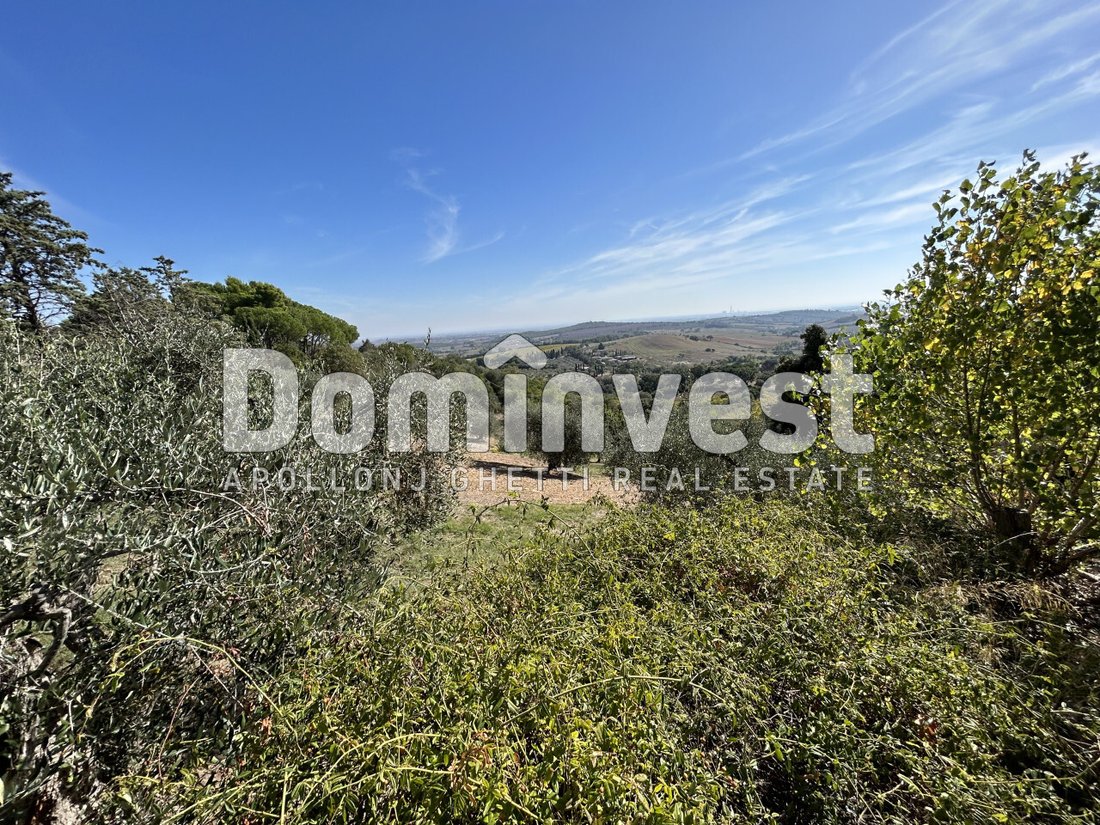 Villa in Capalbio, Tuscany, Italy 3 - 13573002