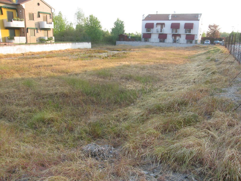 Land in Piove di Sacco, Veneto, Italy 3 - 12277097