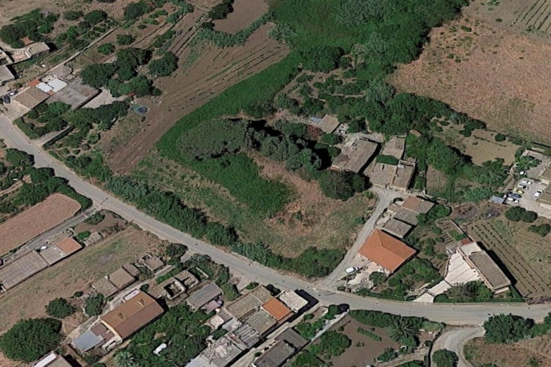Land in Salemi, Sicily, Italy 5 - 15460020