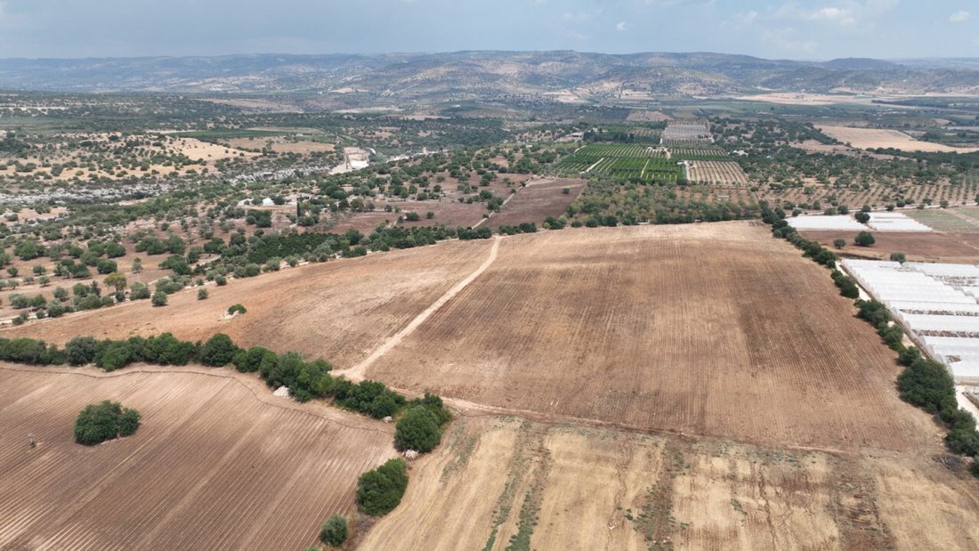Land in Noto, Sicily, Italy 3 - 12119492