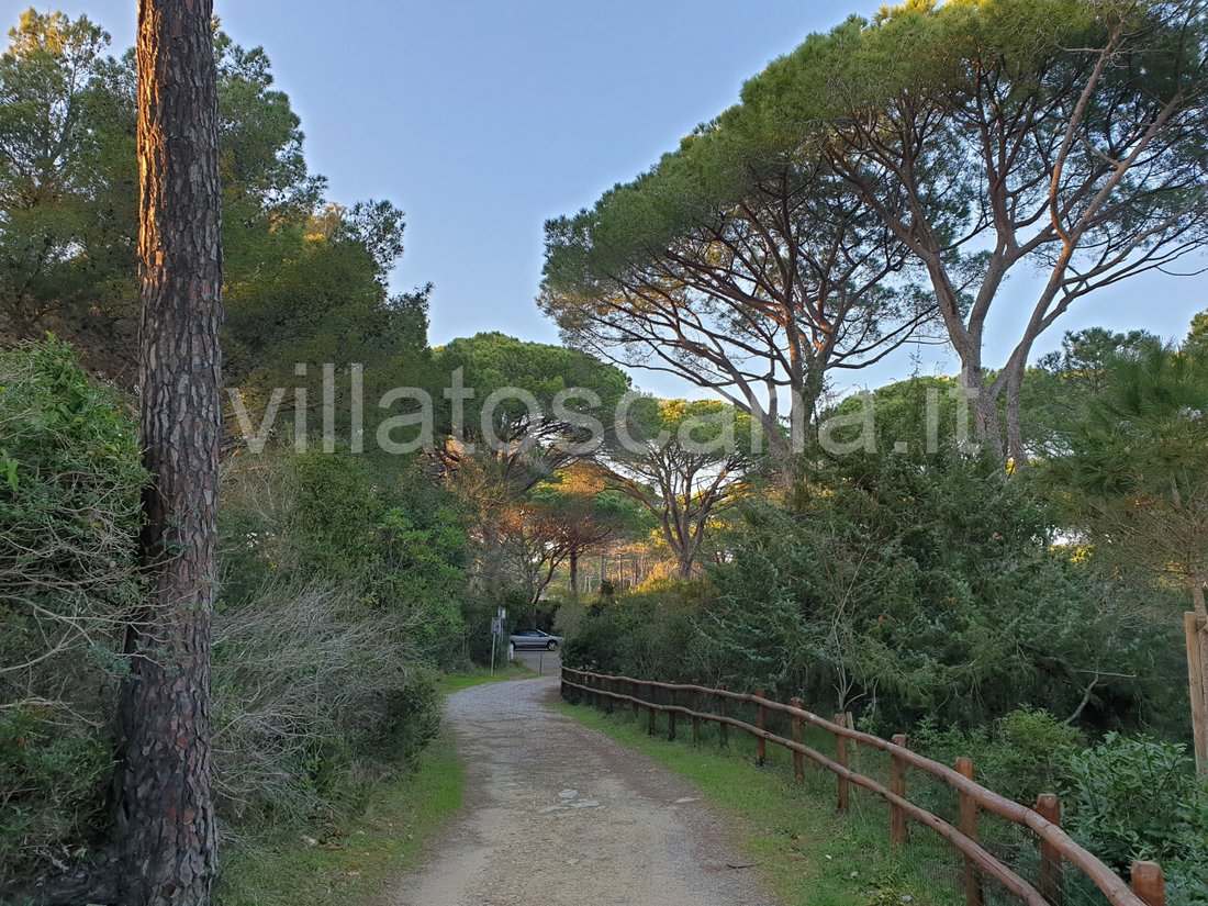 Villa in Rocchette, Castiglione della Pescaia, Tuscany 1 - 15455082