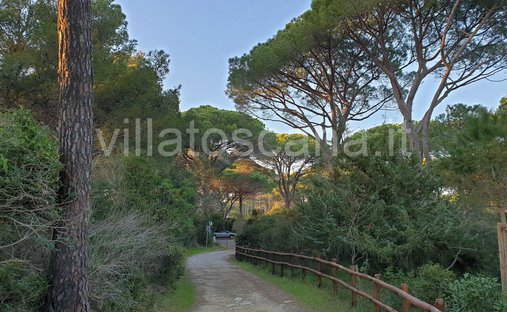 Villa in Rocchette, Castiglione della Pescaia, Tuscany 1