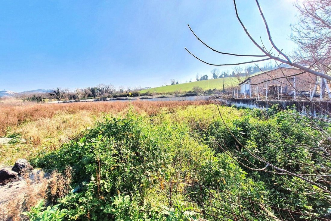 Land in Montelupone, Marche, Italy 4 - 15459946