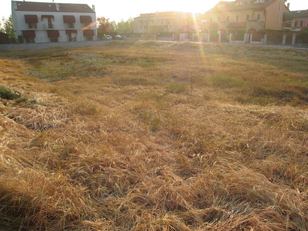 Land in Piove di Sacco, Veneto, Italy 5 - 12277097