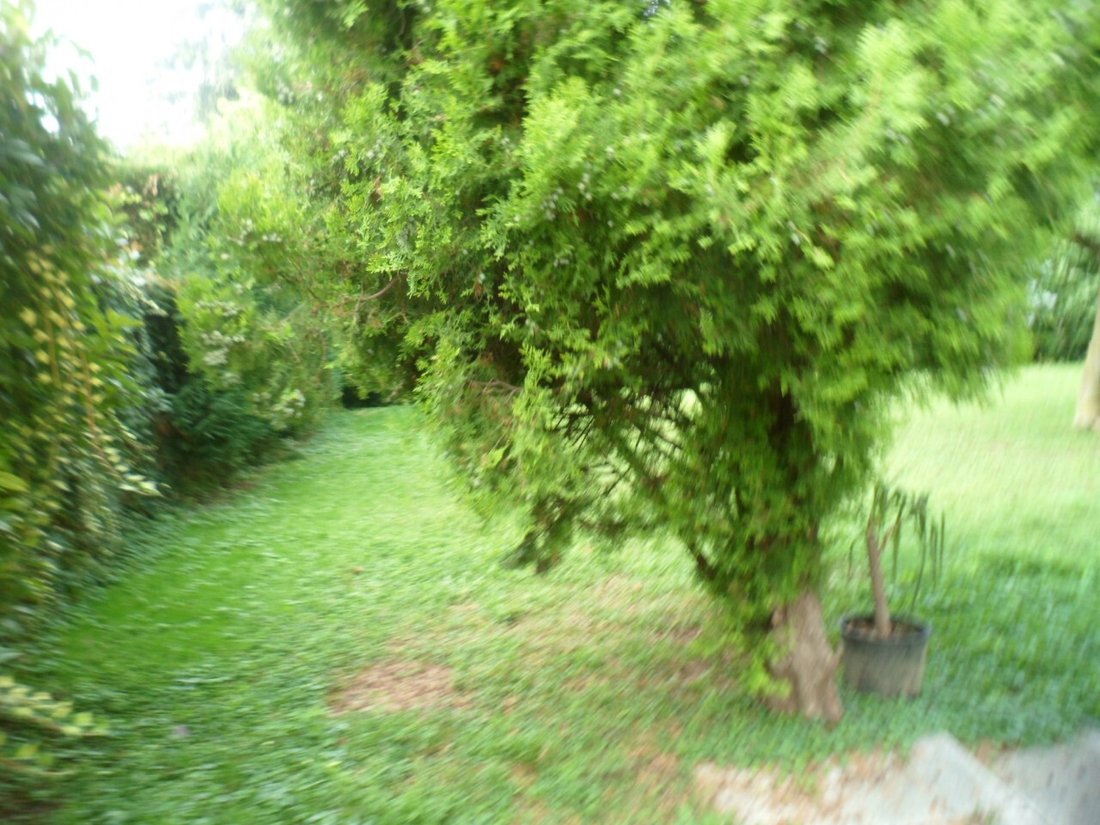 Villa in Sant'Andrea - Stadio, Vicenza, Veneto 4 - 12749239
