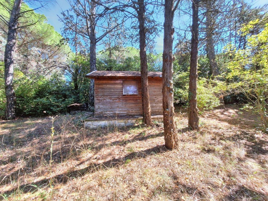 Villa in Monte Castello di Vibio, Umbria, Italy 5 - 15455150